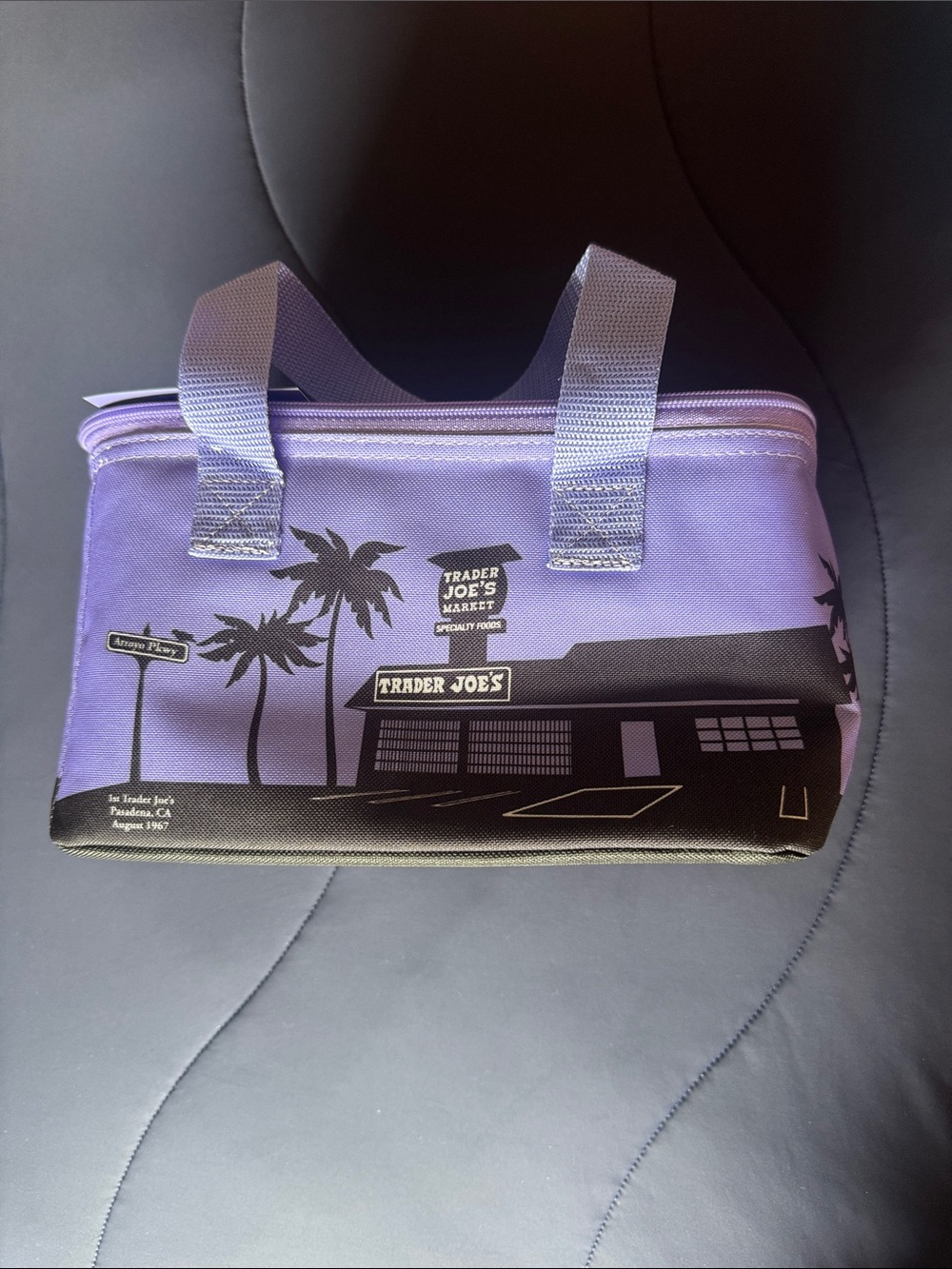 Trader Joe's Mini Insulated Bag- lunchbox - Purple